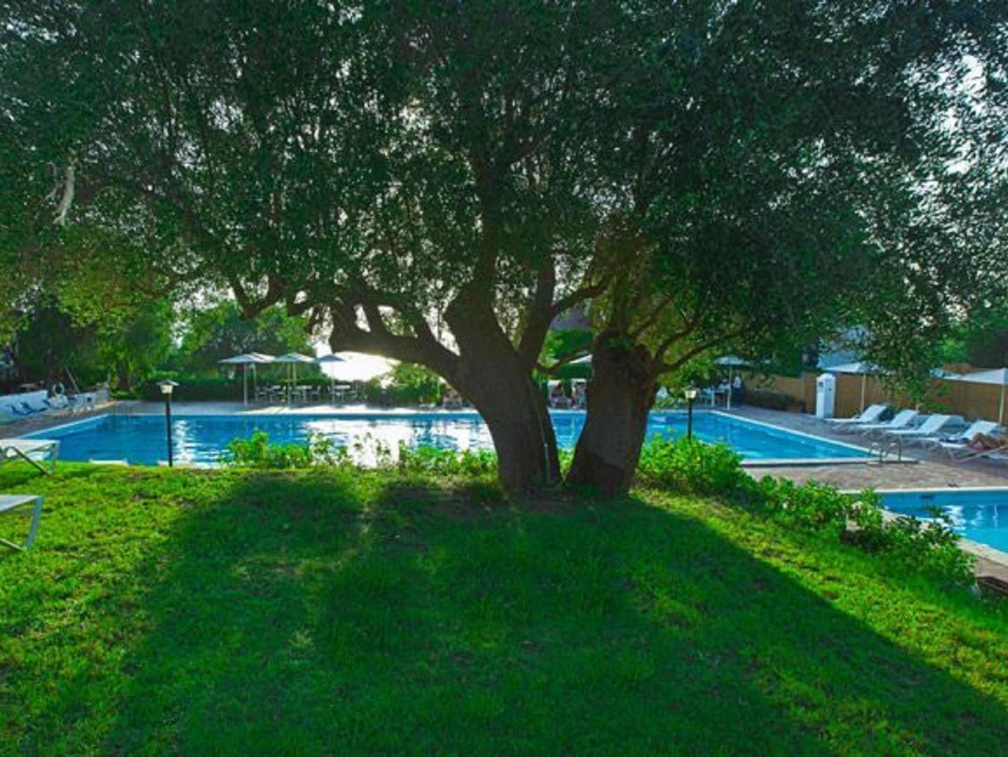 Hotel San Paolo بالينورو المظهر الخارجي الصورة